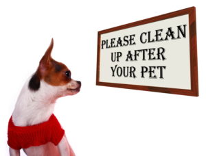 Please Clean Up After Your Pet