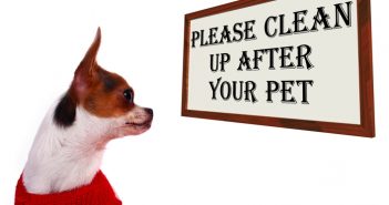 Here’s The Scoop On How Pet DNA Testing Could Fix Your Apartment Poop Problem Please Clean Up After Your Pet